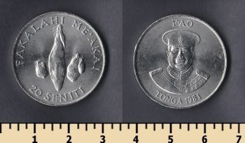  20  1981