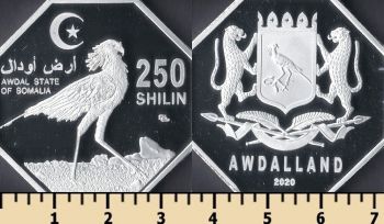  250  2020