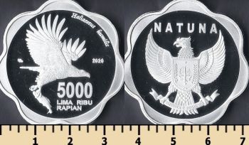  5000  2020