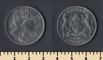  50  1984