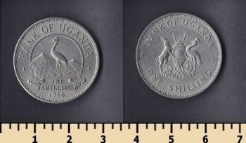  1  1966