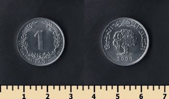  1  2000