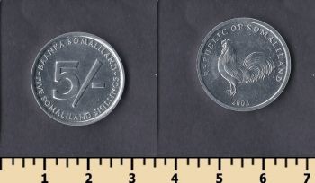  5  2002