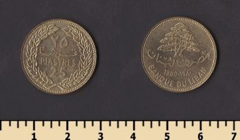 ����� 25 �������� 1980