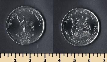  100  2008