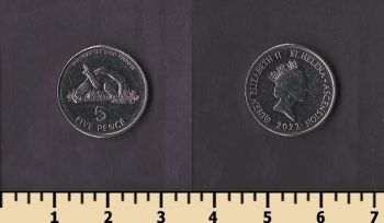 ������ ������ ����� � ���������� 5 ������ 2022