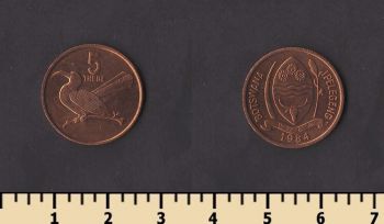 �������� 5 ����� 1984