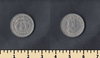  6  1959
