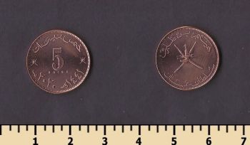 ���� 5 ����� 2020