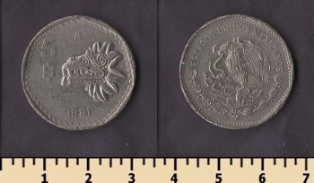 ������� 5 ���� 1981