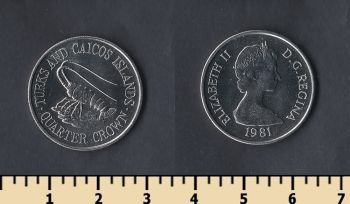    - 1/4  1981