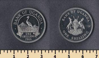  1  1966