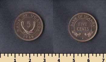  5  1966