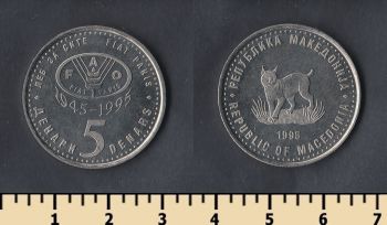  5  1995