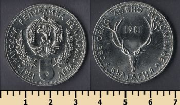  5  1981