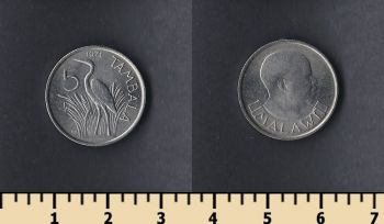  5  1971