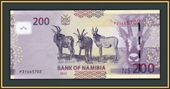  200  2022 P-15 UNC