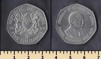  5  1985