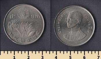  5  1982