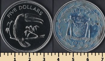  5  1979