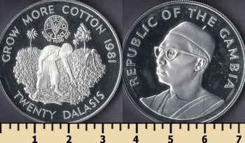  20  1981