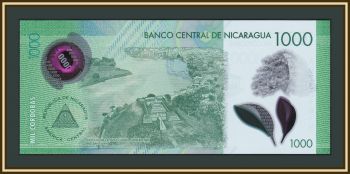  1000  2017 (2019) P-218 (218a) UNC