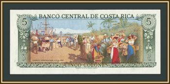 �����-���� 5 ������� 1989 P-236 (236d.20) UNC