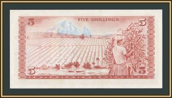 ����� 5 ��������� 1978 P-15 UNC