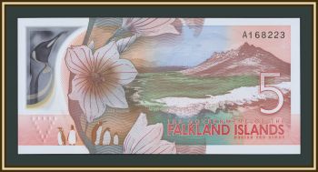 ������������ �-�� 5 ������ 2025 P-20 (20a) UNC