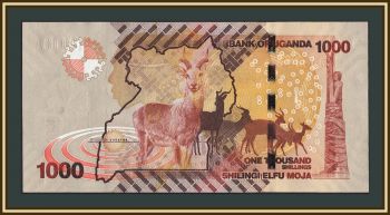 ������ 1000 ��������� 2017 P-49 (49e) UNC