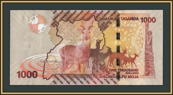 ������ 1000 ��������� 2010 P-49 (49�) UNC