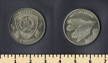  5  2016