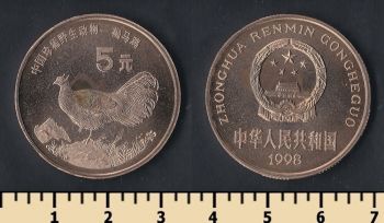  5  1998