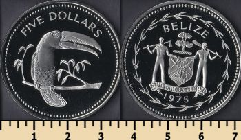  5  1975