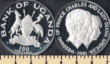  100  1981