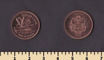 ������ 5 �������� 2008