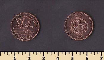 ������ 5 �������� 2008