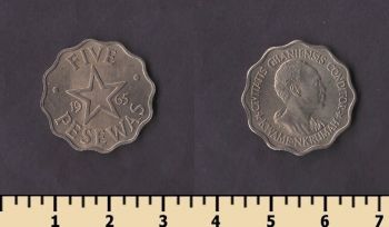 ���� 5 ����� 1965