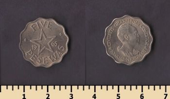 ���� 5 ����� 1965