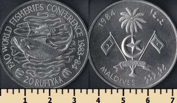  20  1984