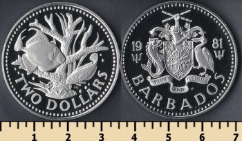  2  1981