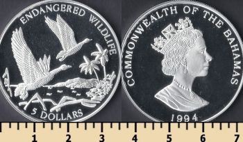   5  1994