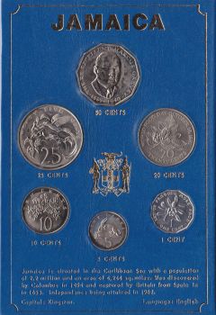   6  1980-1981