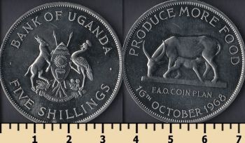  5  1968