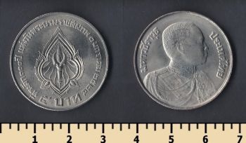  5  1981