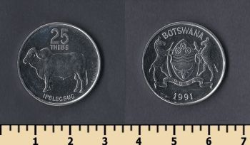  25  1991