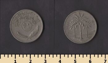 ���� 50 ���� 1981