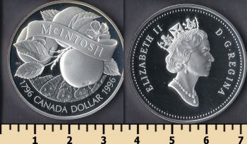  1  1996