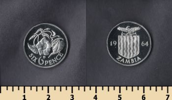  6  1964