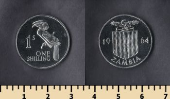  1  1964